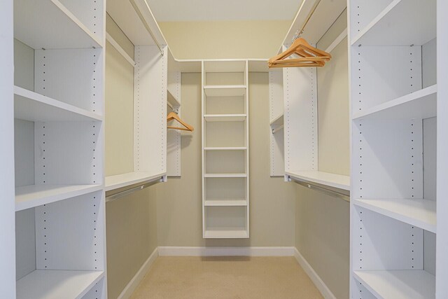 2650 Lake Shore Dr Unit 703, Riviera Beach, FL 33404 - walk in closet with carpet