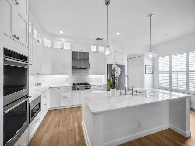 kitchen with ventilation hood, light wood-type flooring, appliances with stainless steel finishes, and a sink