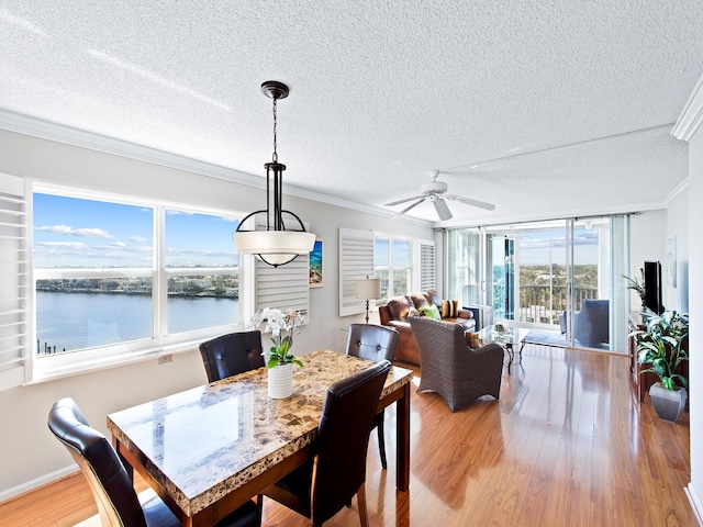 dining room with ceiling fan, light wood-style floors, a water view, a textured ceiling, and crown molding