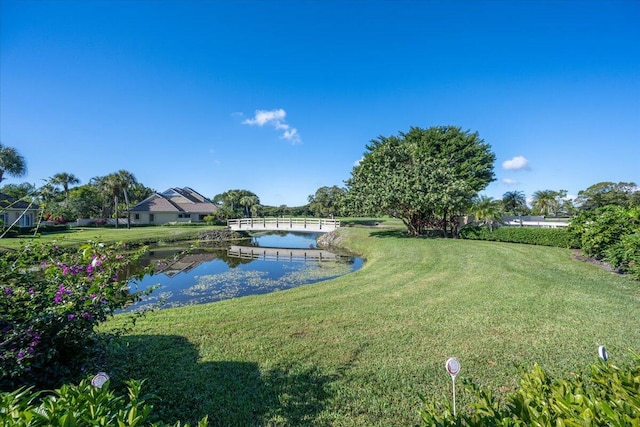 view of yard with a water view