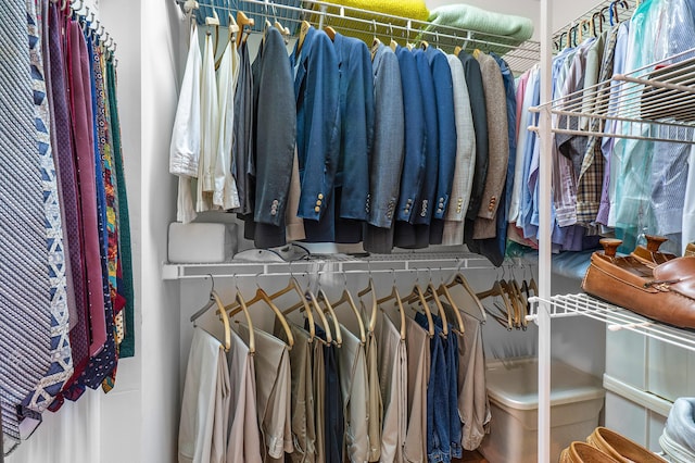 view of spacious closet