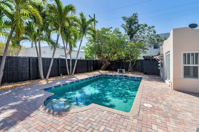 view of swimming pool featuring a fenced in pool, a fenced backyard, and a patio area