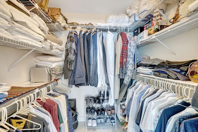 view of spacious closet