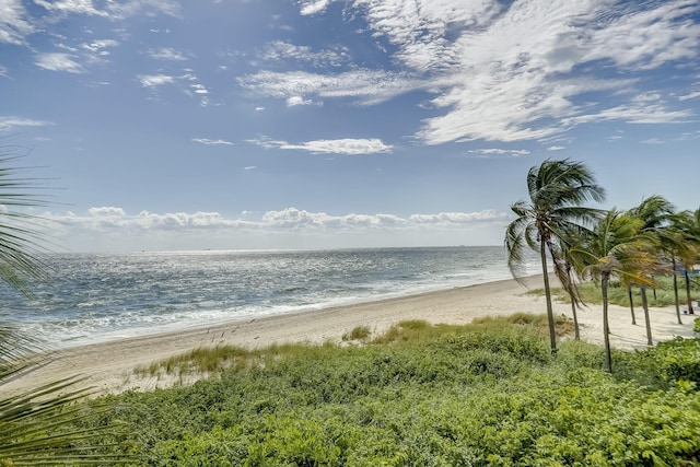 water view featuring a beach view