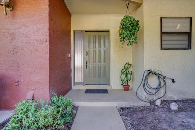 doorway to property featuring stucco siding