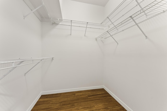 spacious closet with wood finished floors