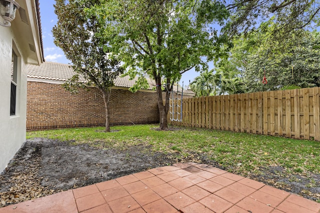 view of yard with a patio area and a fenced backyard