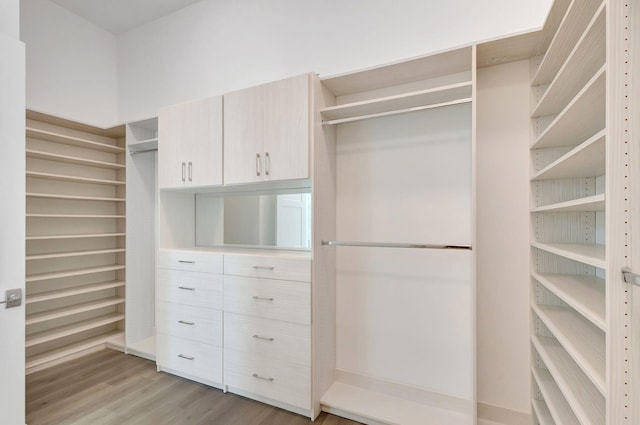 spacious closet featuring light wood-style floors