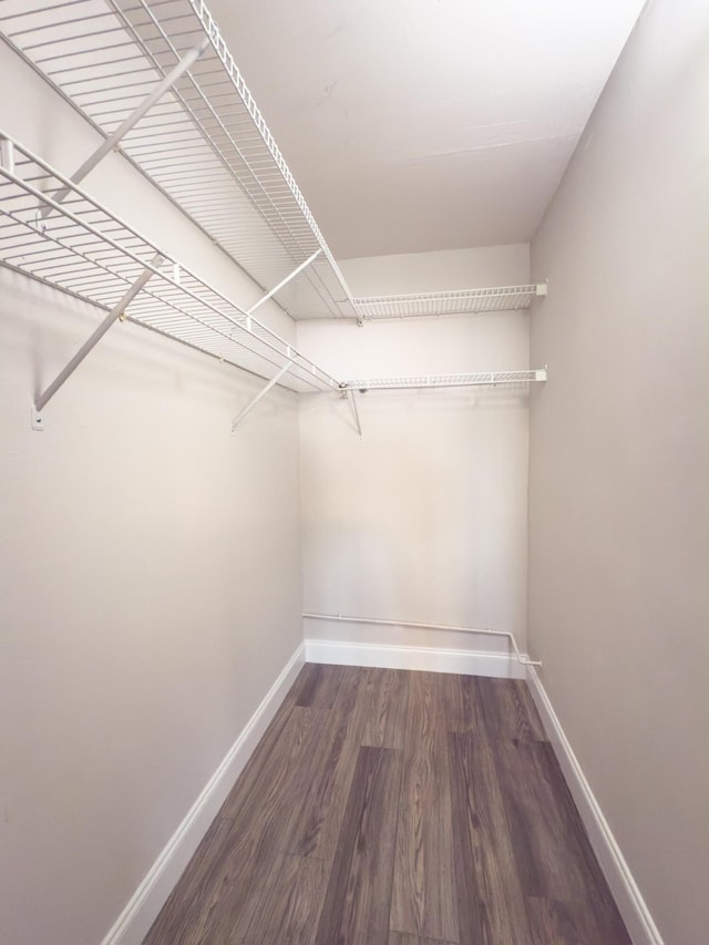 spacious closet with wood finished floors