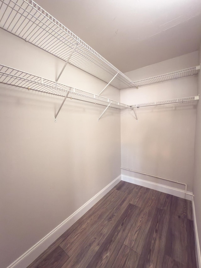 walk in closet with dark wood-style floors