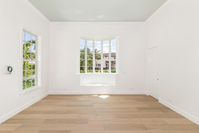 205 Gray St, West Palm Beach, FL 33405 - unfurnished room with light wood-style flooring and ornamental molding