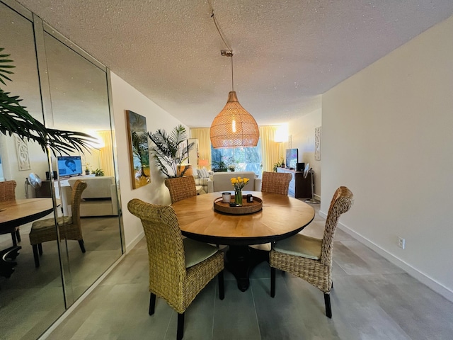 dining room featuring baseboards and a textured ceiling