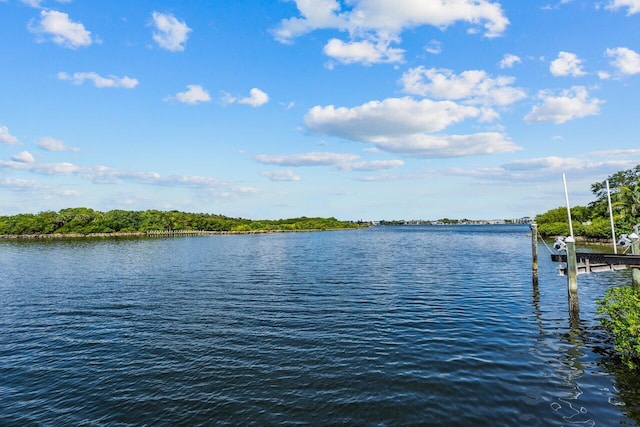 property view of water featuring boat lift and a boat dock