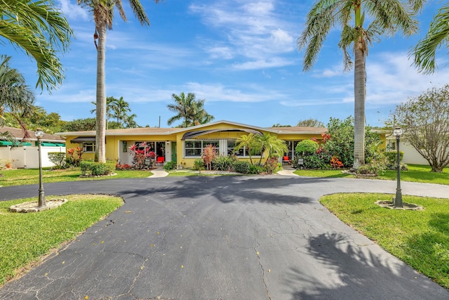 single story home featuring stucco siding, a front lawn, and curved driveway