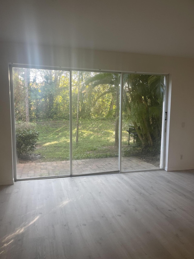 empty room featuring a wealth of natural light and wood finished floors