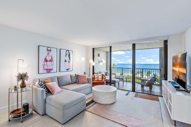 living area with baseboards, floor to ceiling windows, and light wood finished floors