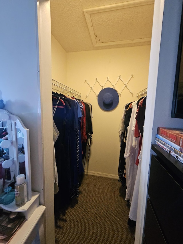 spacious closet featuring carpet floors