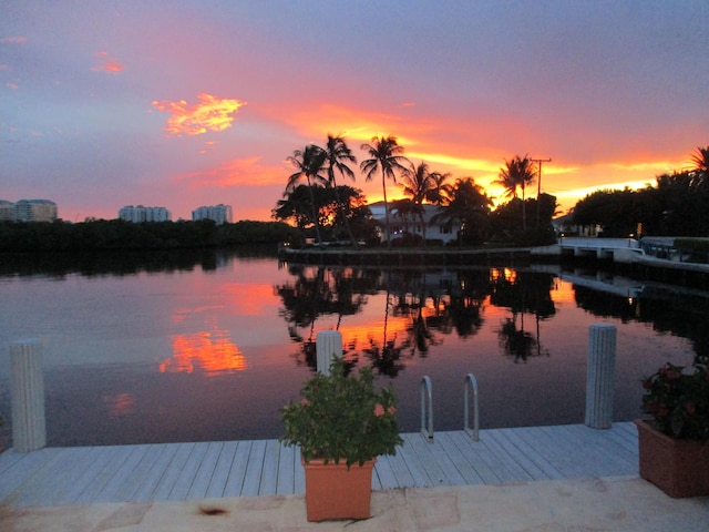 view of water feature with a dock