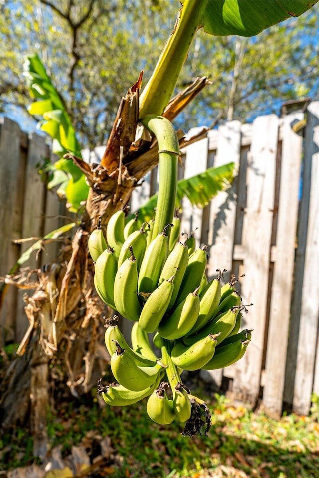 exterior details with fence