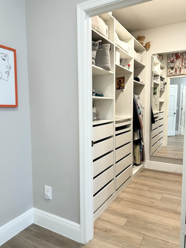 spacious closet with light wood-style flooring