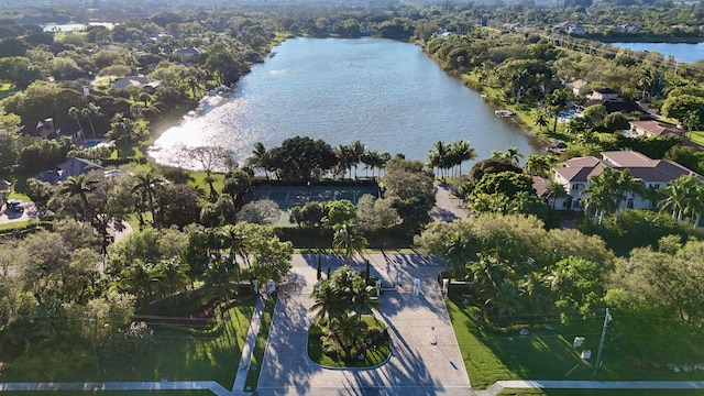 bird's eye view with a water view