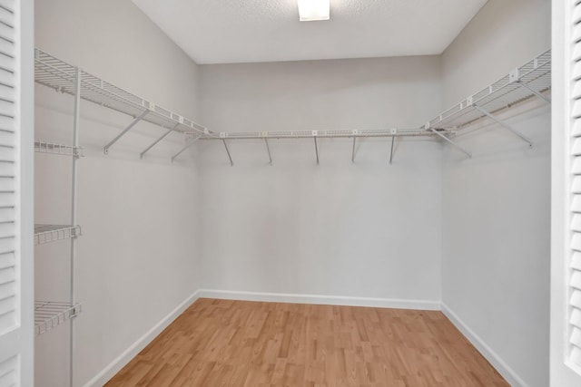 spacious closet with light wood-style floors