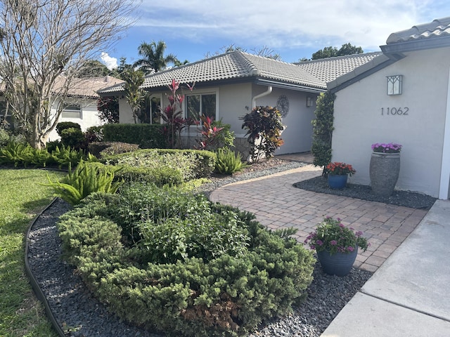 view of home's exterior with a tile roof and stucco siding