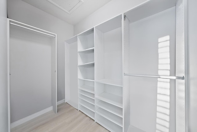 spacious closet featuring wood finished floors