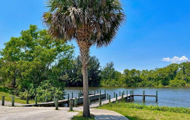 dock area with a water view