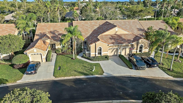 aerial view