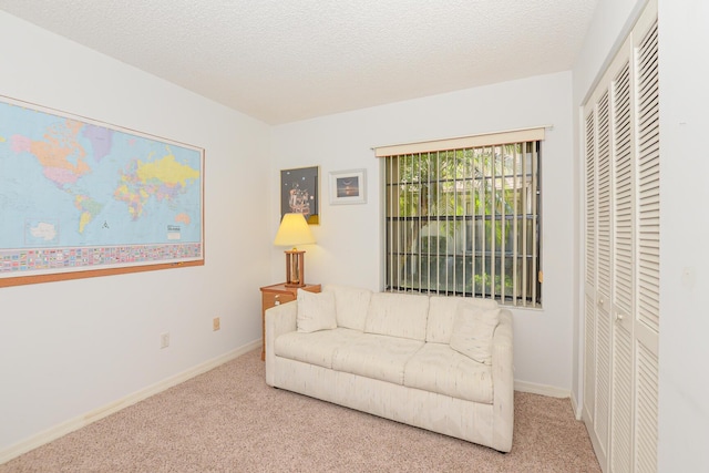 living area featuring a textured ceiling, baseboards, and carpet floors