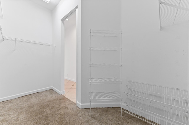 walk in closet featuring carpet