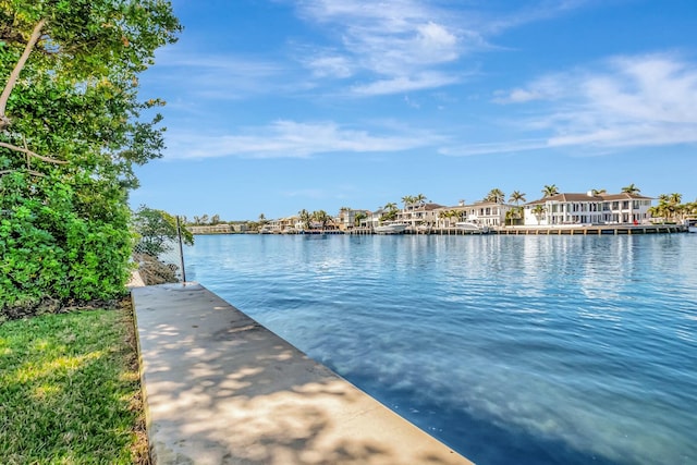 dock area with a water view