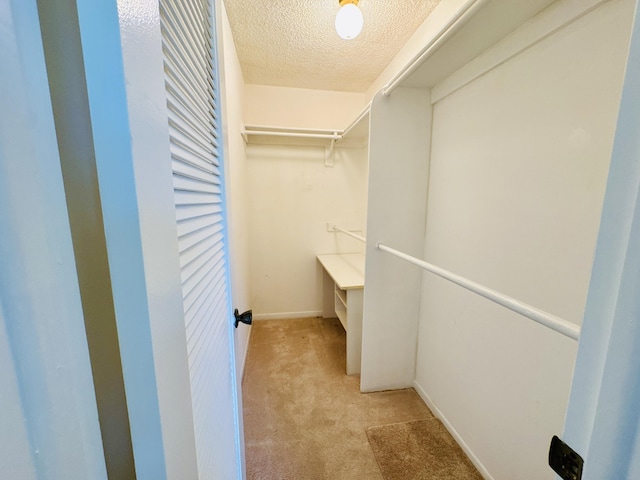 230 Normandy Ln E, Delray Beach, FL 33484 - spacious closet featuring light carpet