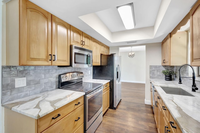 kitchen featuring a sink, light stone counters, wood finished floors, stainless steel appliances, and a raised ceiling