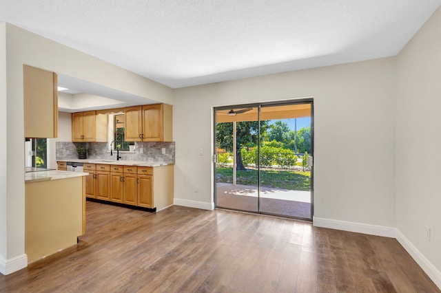 kitchen with a sink, backsplash, wood finished floors, and light countertops