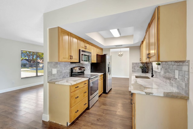 kitchen with dark wood finished floors, stainless steel appliances, a raised ceiling, and a sink