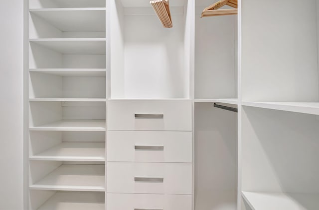 11287 Vivero Ave, Boynton Beach, FL 33437 - view of walk in closet