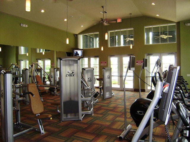 workout area with french doors, carpet, and high vaulted ceiling