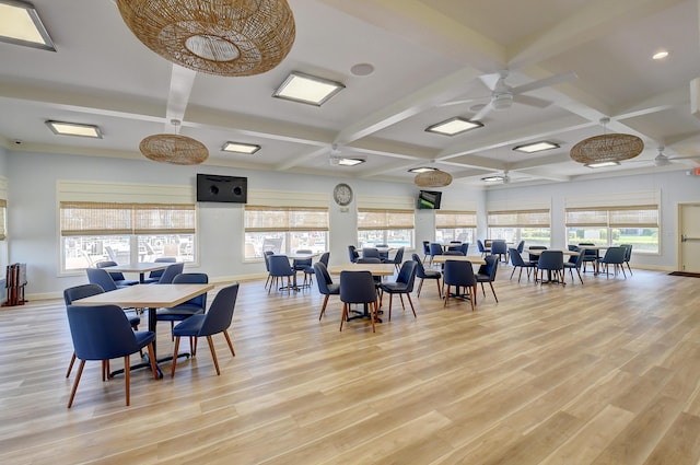 dining space with light wood-type flooring, coffered ceiling, a healthy amount of sunlight, and a ceiling fan