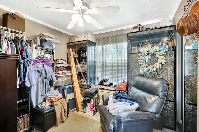 spacious closet featuring a ceiling fan and carpet floors