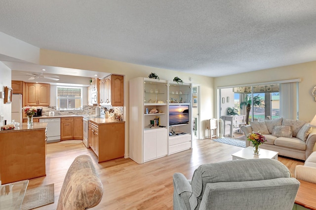 living area featuring a healthy amount of sunlight, a textured ceiling, and light wood-style flooring