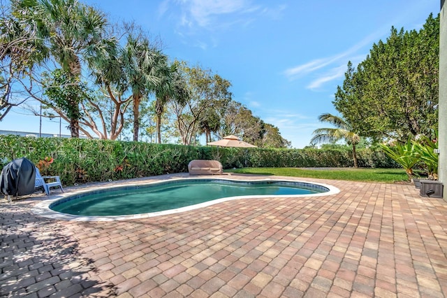 view of swimming pool featuring a fenced backyard, a fenced in pool, and a patio