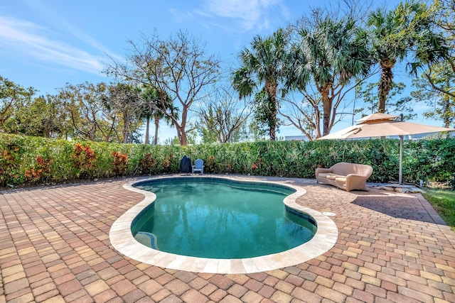 view of pool with a patio, a fenced in pool, and a fenced backyard