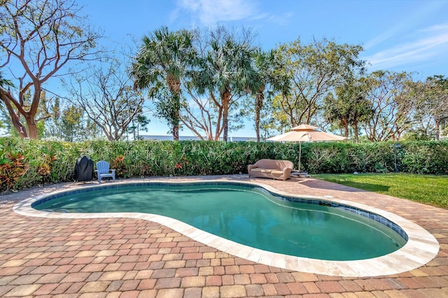 view of pool with a patio area, a fenced in pool, and a fenced backyard