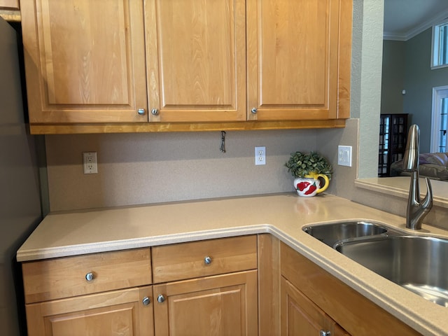 kitchen with light countertops, crown molding, and a sink