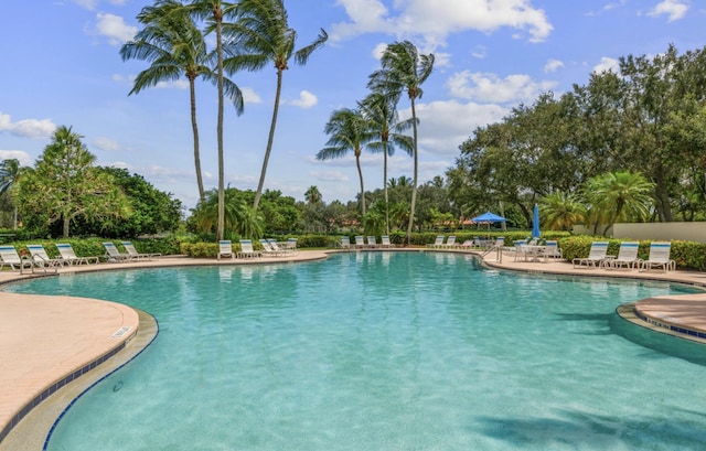 pool with a patio area