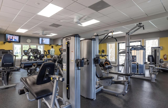 exercise room featuring a drop ceiling and ceiling fan