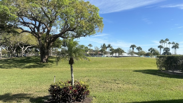 view of home's community with a lawn