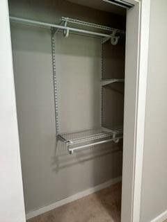 view of closet